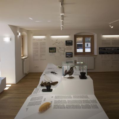 Ausstellung im Widum Vent