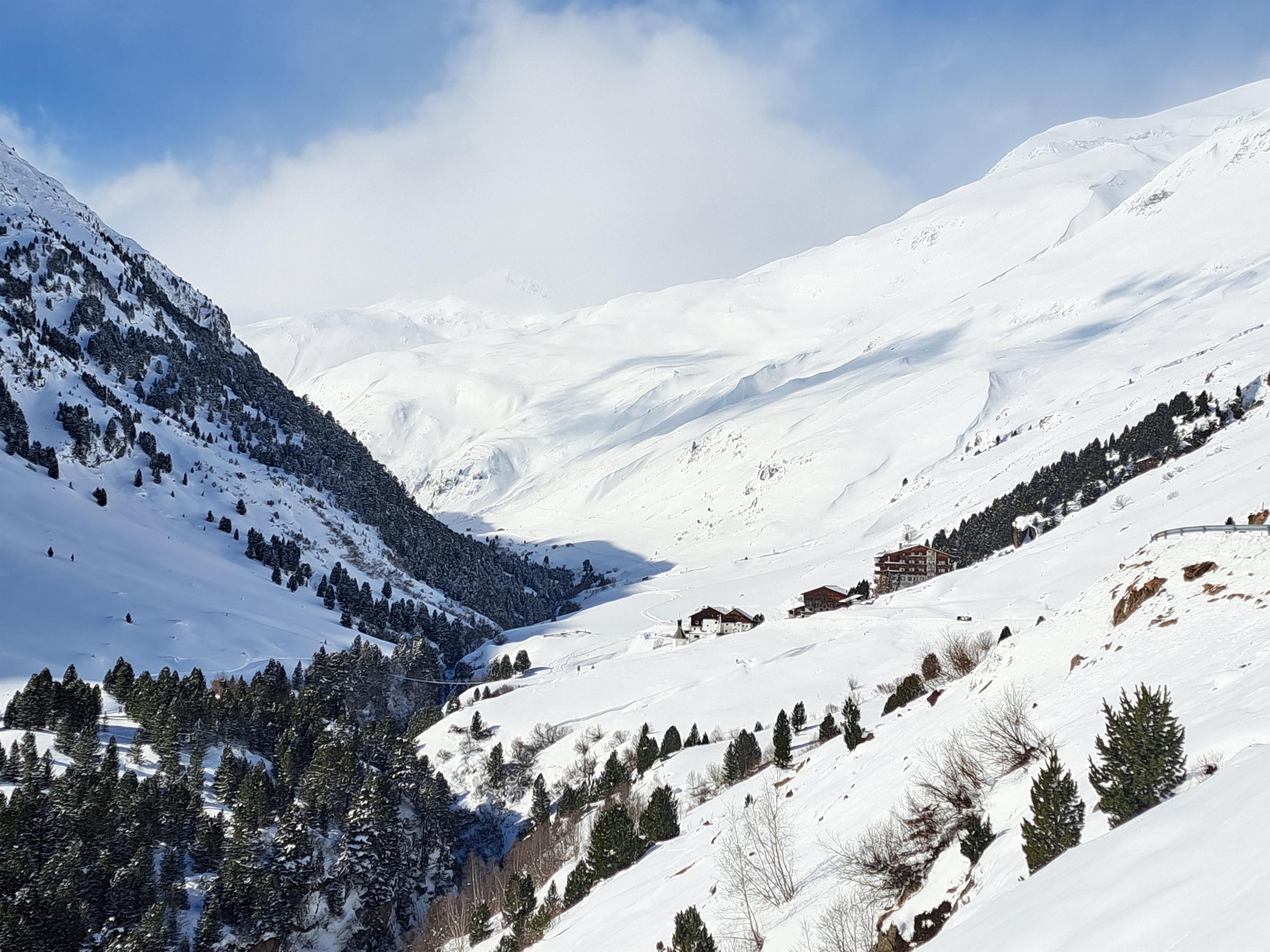 Rofen im Februar 2024