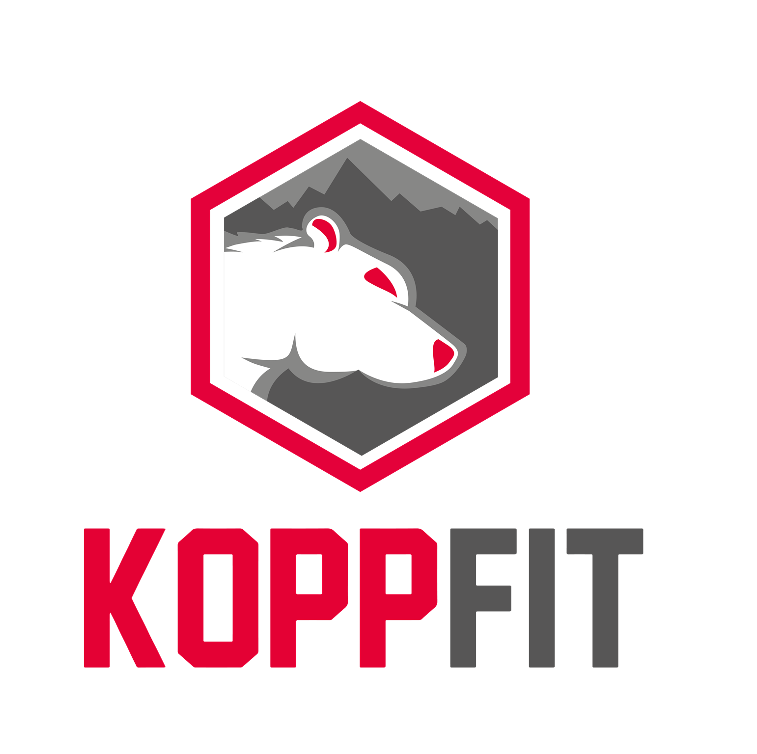 Koppfit