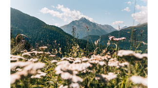 Wallpaper Kleble Alm