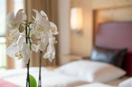 Pensionen & Gasthöfe