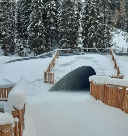 Rundloipe Ochsengarten