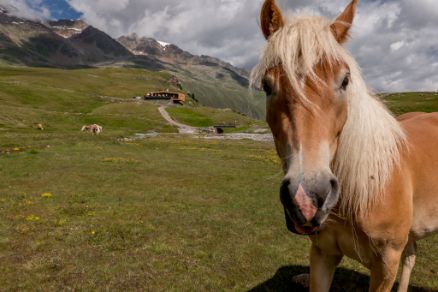 Gurgl Schönwieshütte