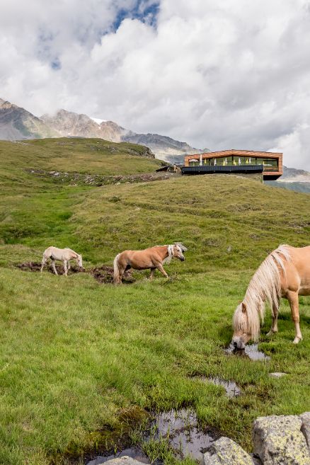 Obergurgl Schnowieshütte Summer Hiking Landscape