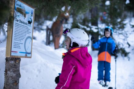 Children Parcour Hochoetz Skiing